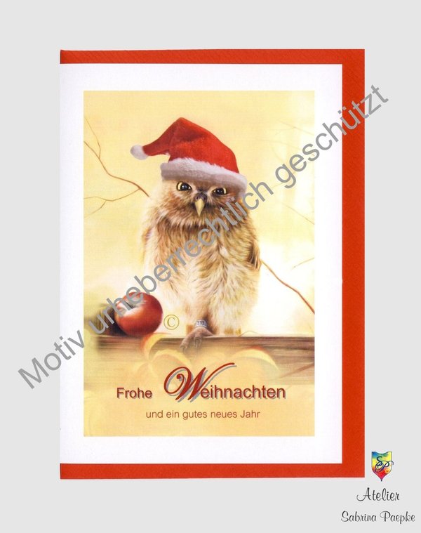 Weihnachtskarte mit Eule